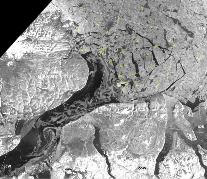 Figure 8. Ice drift shortly after the breakdown of the arch in the Lincoln Sea 100 days after its formation. Drift vectors represent observations in the 23 hours between on 10 and 11 May 2017. New ice is formed in and south of the Lincoln Sea subject to eddies along the coast of Greenland. (Image courtesy of Gudmandsen.)