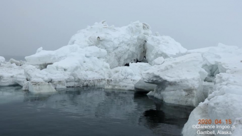 Sea ice conditions in Gambell.