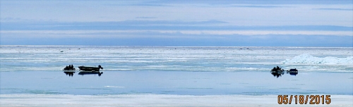 18 May 2015 - Shishmaref, photo cou18 May 2015 - sleds on the ice at Shishmaref, photo courtesy of C. Nayokpukrtesy of C. Nayokpuk