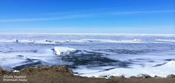 Nearshore ice conditions in Shishmaref looking north.