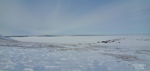 Nearshore ice conditions near Wales - view 1.