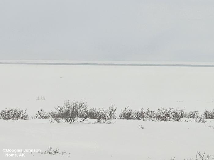 View from the first hill off the coast looking south at the Bering Sea - view 1. Photo courtesy of Boogles Johnson.