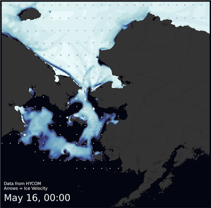 Visit the SIWO Facebook page @seaiceforwalrus to view this animation showing the predicted movement of ice predicted by the HYbrid Coordinate Ocean Model (HYCOM).