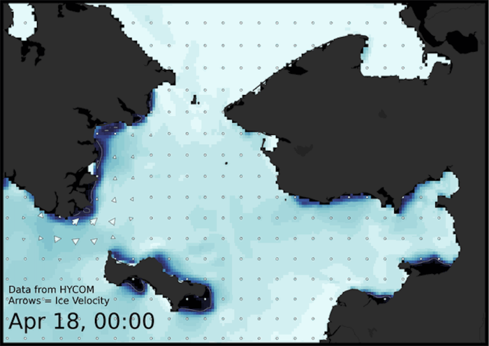 Visit the SIWO Facebook page @seaiceforwalrus to view this animation showing the predicted movement of ice predicted by the HYbrid Coordinate Ocean Model (HYCOM).