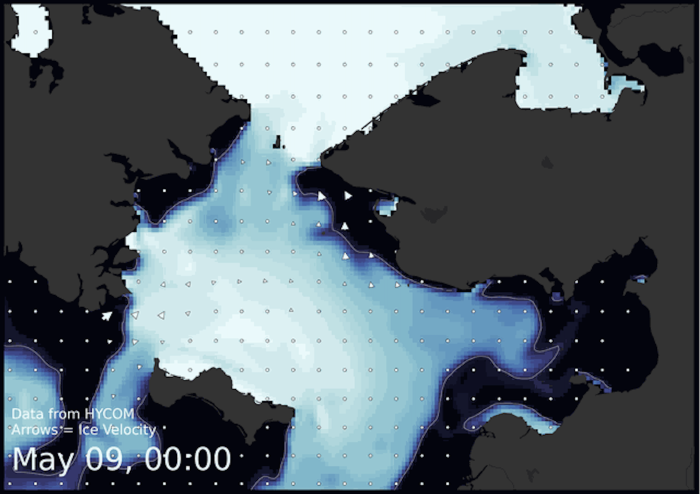 Visit the SIWO Facebook page @seaiceforwalrus to view this animation showing the predicted movement of ice predicted by the HYbrid Coordinate Ocean Model (HYCOM).