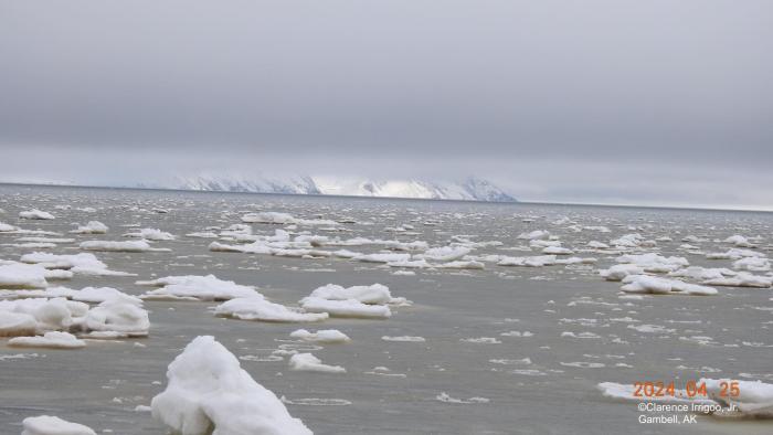 Photo from North Pacific Ocean, southwest from Gambell, 20 miles. Courtesy of Clarence Irrigoo, Jr.